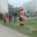 dnio 8